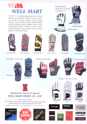 WELL MART MERIT CO., LTD.                            