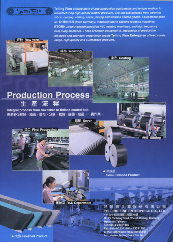 TELLING FINE ENTERPRISE CO., LTD.                 