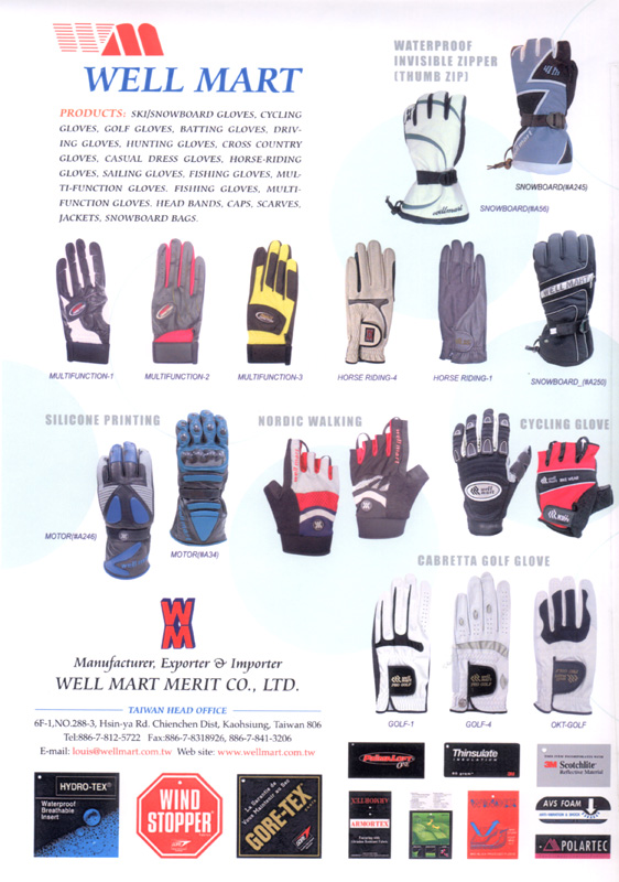 WELL MART MERIT CO., LTD.                         